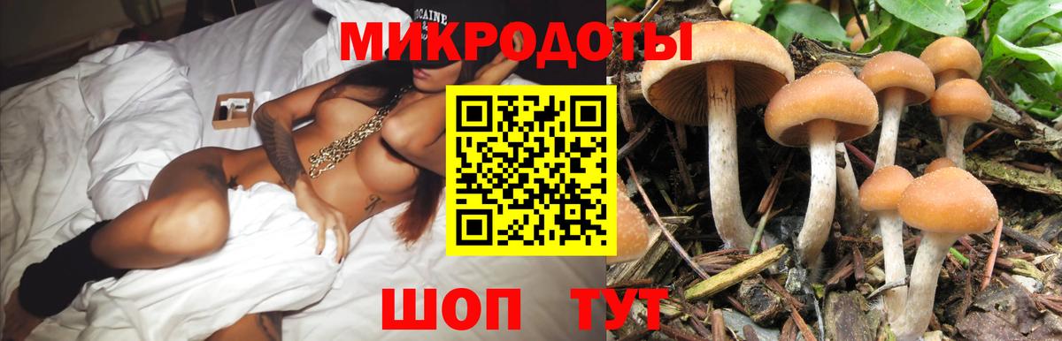 Галлюциногенные грибы GOLDEN TEACHER  Вход с VPN  Кириши 